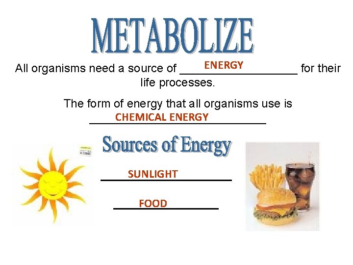 ENERGY All organisms need a source of _________ for their life processes. The form