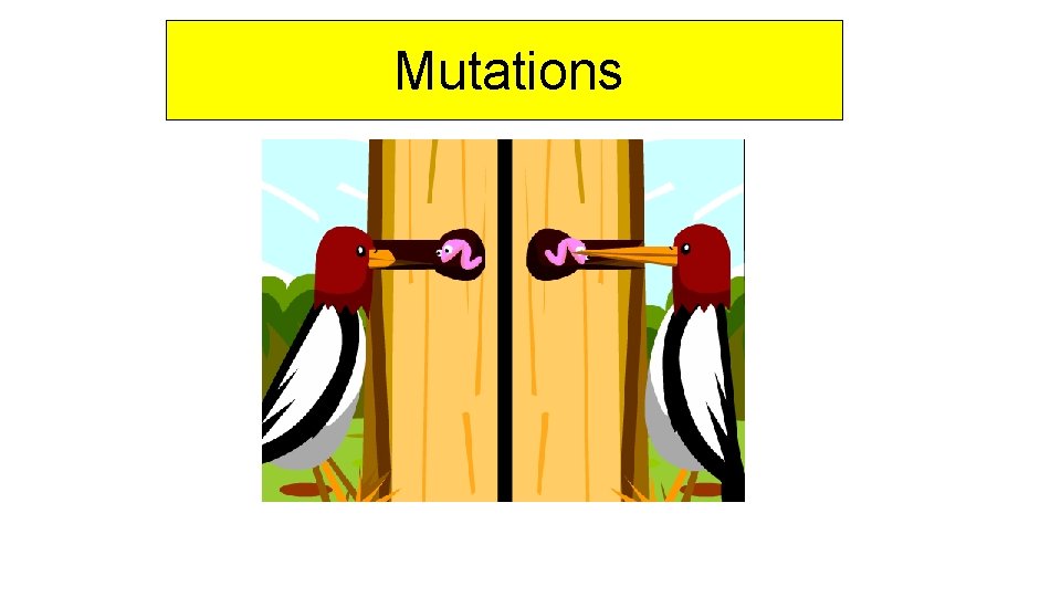 Mutations 