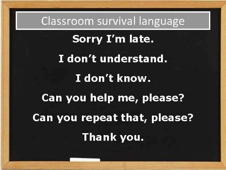 Classroom survival language Sorry I’m late. I don’t understand. I don’t know. Can you