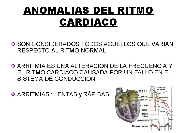 ANOMALIAS DEL RITMO CARDIACO v SON CONSIDERADOS TODOS AQUELLOS QUE VARIAN RESPECTO AL RITMO