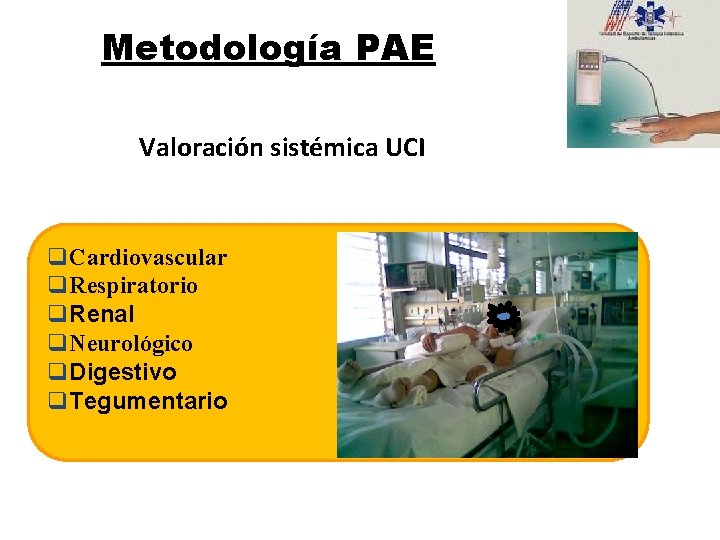 Metodología PAE Valoración sistémica UCI q. Cardiovascular q. Respiratorio q. Renal q. Neurológico q.