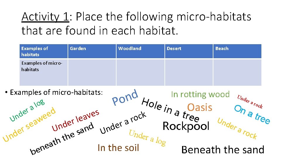 Activity 1: Place the following micro-habitats that are found in each habitat. Examples of