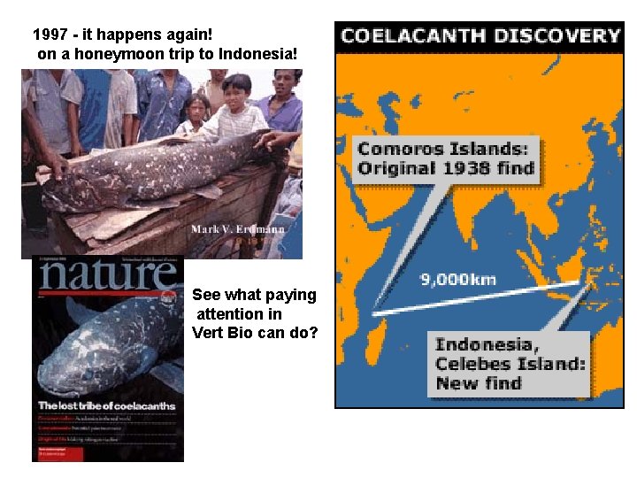 1997 - it happens again! on a honeymoon trip to Indonesia! See what paying