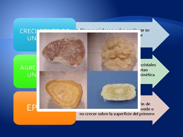 CRECIMIENTO DE UN CRISTAL • Algunos núcleos pueden continuar su crecimiento si la orina