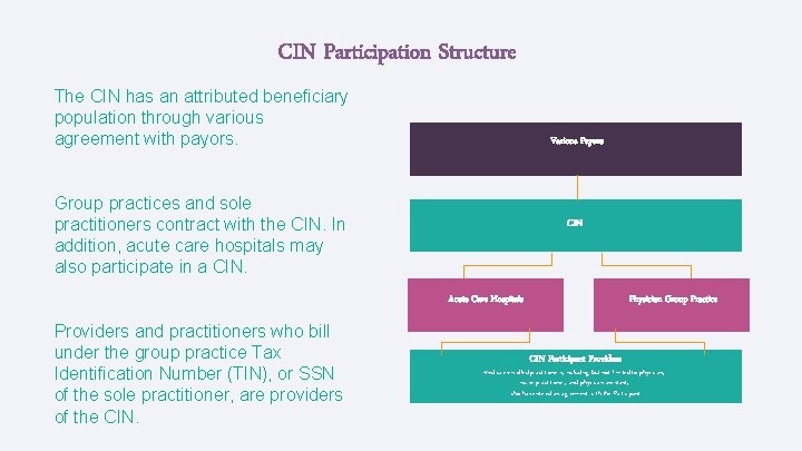 CIN Participation Structure The CIN has an attributed beneficiary population through various agreement with