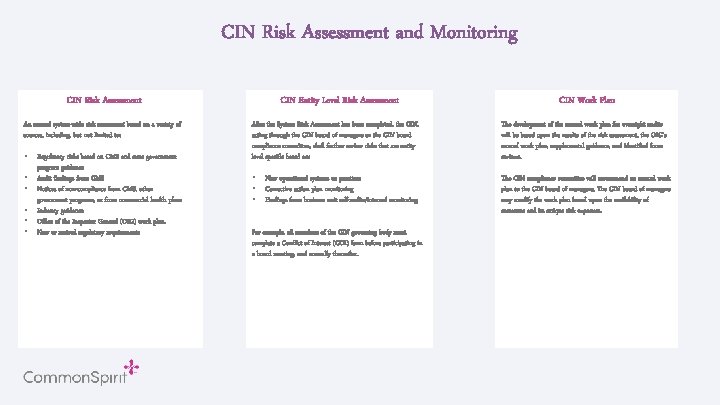 CIN Risk Assessment and Monitoring CIN Risk Assessment An annual system-wide risk assessment based