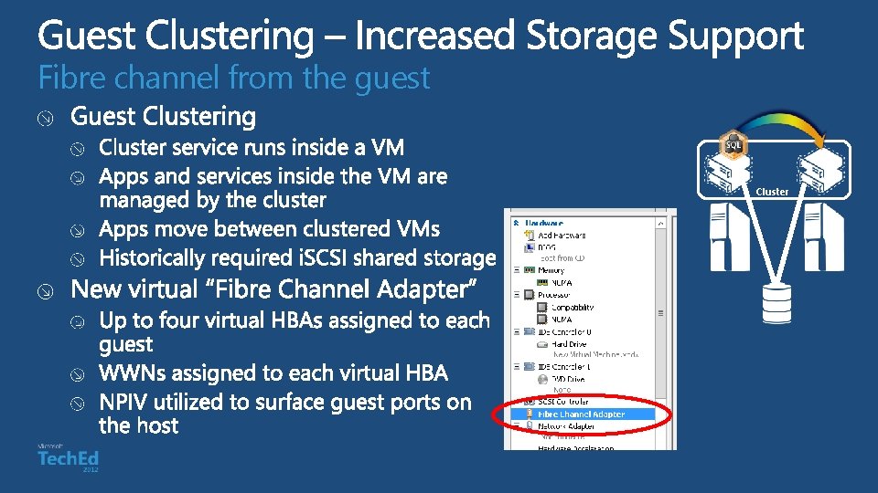 Fibre channel from the guest Cluster 