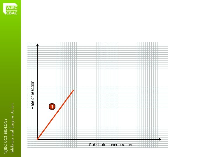 Rate of reaction Inhibitors and Enzyme Action WJEC GCE BIOLOGY 1 Substrate concentration 