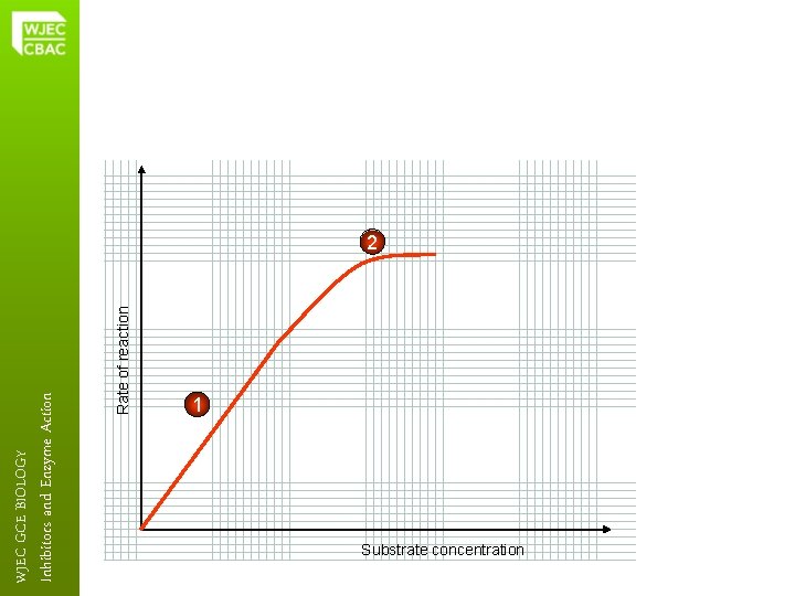 Rate of reaction Inhibitors and Enzyme Action WJEC GCE BIOLOGY 2 1 Substrate concentration
