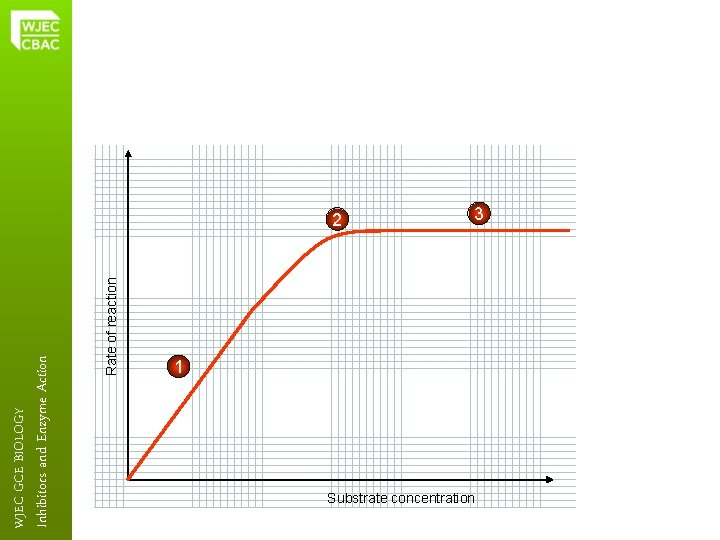 Rate of reaction Inhibitors and Enzyme Action WJEC GCE BIOLOGY 2 3 1 Substrate
