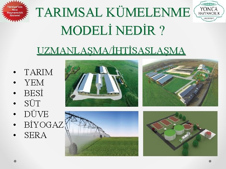 TARIMSAL KÜMELENME MODELİ NEDİR ? UZMANLAŞMA/İHTİSASLAŞMA • • TARIM YEM BESİ SÜT DÜVE BİYOGAZ