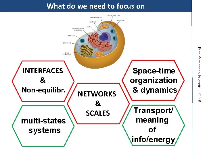 What do we need to focus on multi-states systems NETWORKS & SCALES Space-time organization