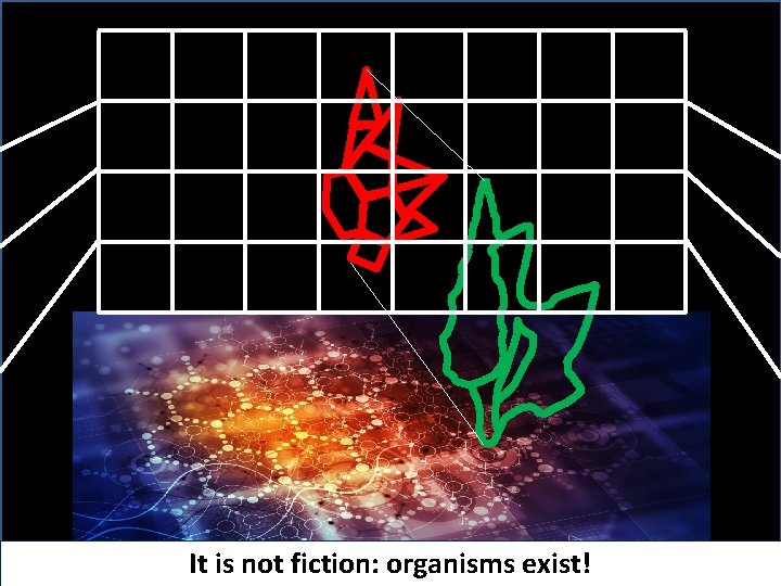 Pier Francesco Moretti – CNR It is not fiction: organisms exist! 