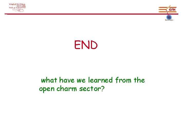 END what have we learned from the open charm sector? 