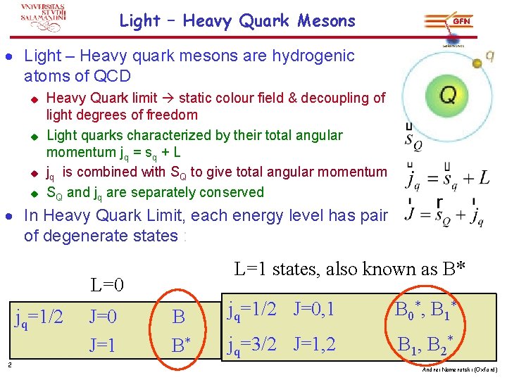 Light – Heavy Quark Mesons · Light – Heavy quark mesons are hydrogenic atoms