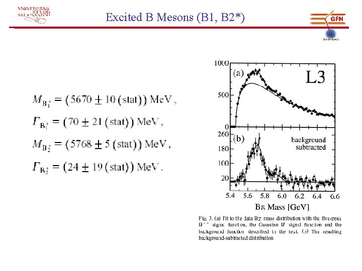 Excited B Mesons (B 1, B 2*) 