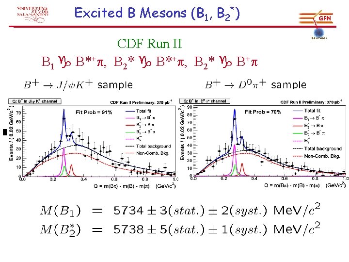 Excited B Mesons (B 1, B 2*) CDF Run II B 1 g B*+