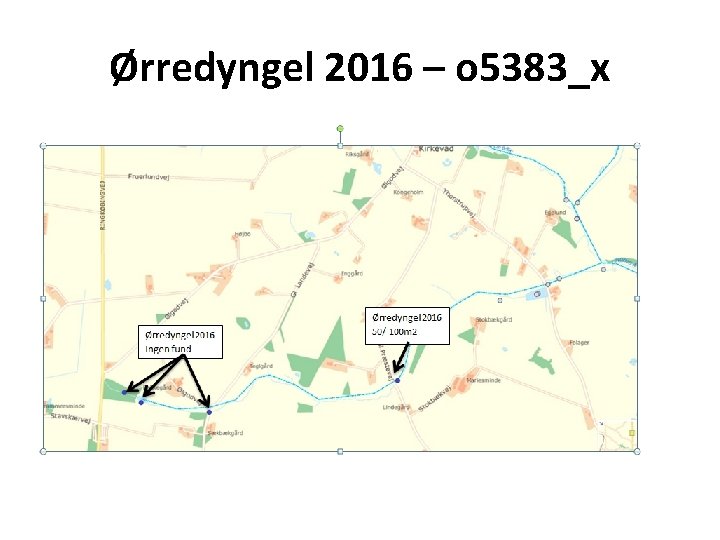 Ørredyngel 2016 – o 5383_x 