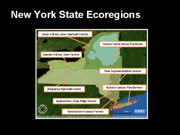 New York State Ecoregions Eastern Great Lakes Lowlands Forests Eastern Forest Boreal Transition Southern