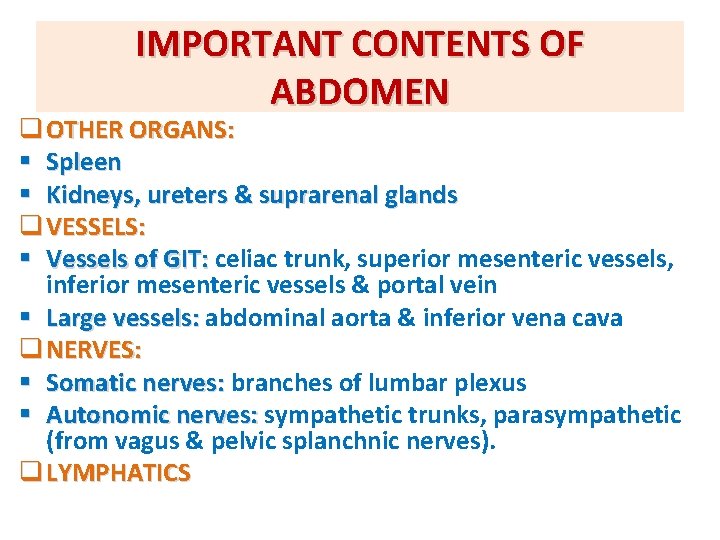 IMPORTANT CONTENTS OF ABDOMEN q OTHER ORGANS: § Spleen § Kidneys, ureters & suprarenal