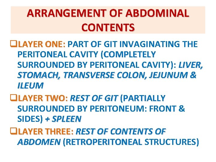 ARRANGEMENT OF ABDOMINAL CONTENTS q. LAYER ONE: PART OF GIT INVAGINATING THE PERITONEAL CAVITY