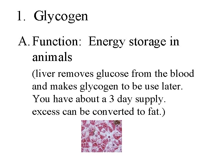 1. Glycogen A. Function: Energy storage in animals (liver removes glucose from the blood