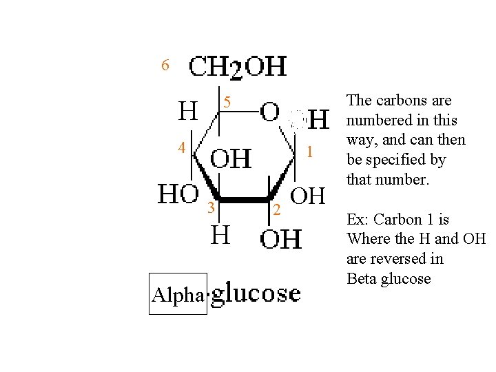 6 5 H 4 1 3 H Alpha 2 OH The carbons are numbered