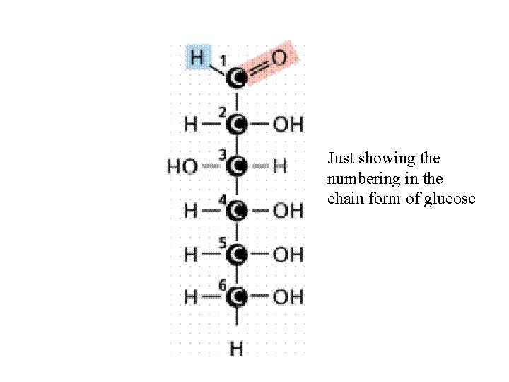 Just showing the numbering in the chain form of glucose 