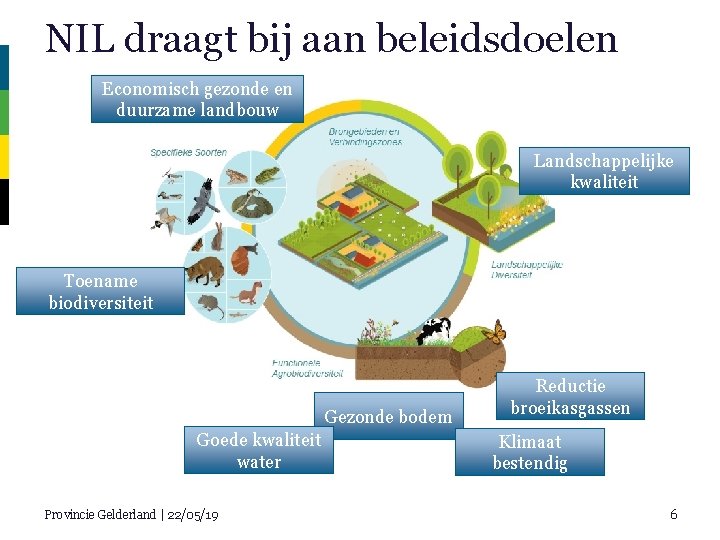 NIL draagt bij aan beleidsdoelen Economisch gezonde en duurzame landbouw Landschappelijke kwaliteit Toename biodiversiteit