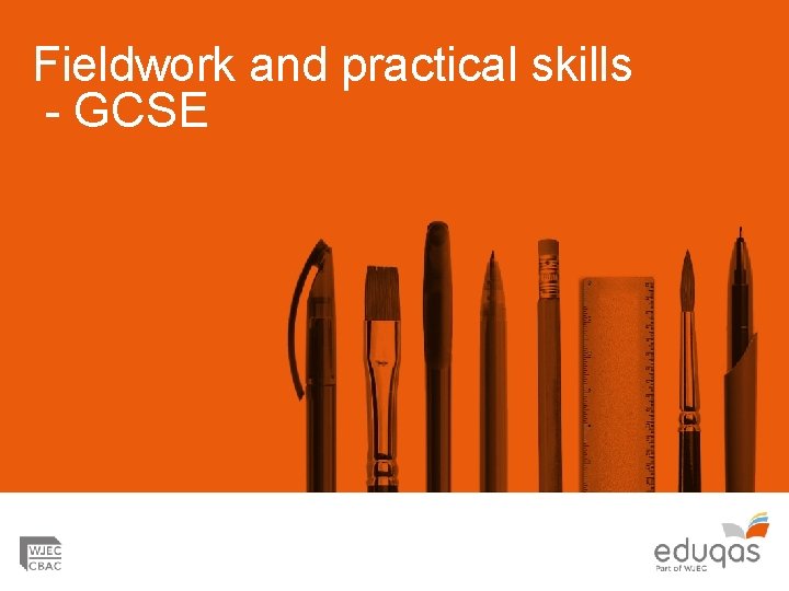 Fieldwork and practical skills - GCSE 
