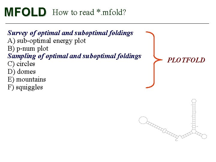 MFOLD How to read *. mfold? Survey of optimal and suboptimal foldings A) sub-optimal