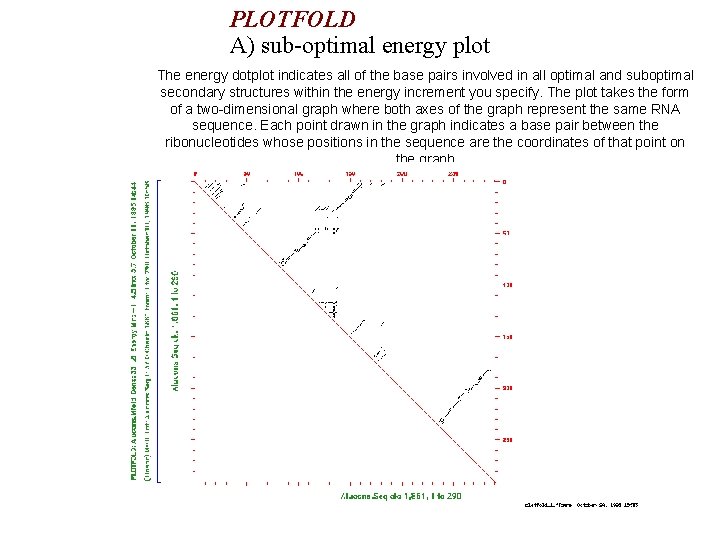 PLOTFOLD A) sub-optimal energy plot The energy dotplot indicates all of the base pairs