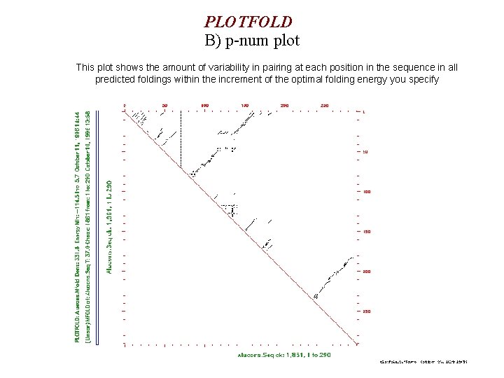 PLOTFOLD B) p-num plot This plot shows the amount of variability in pairing at
