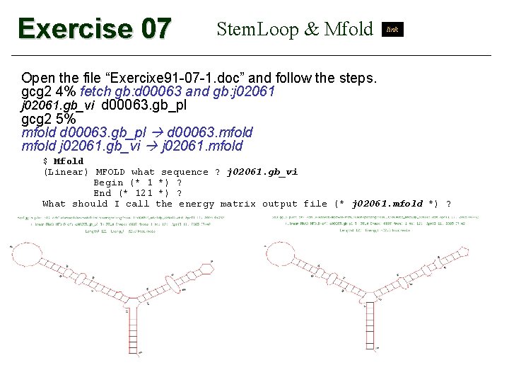 Exercise 07 Stem. Loop & Mfold link Open the file “Exercixe 91 -07 -1.