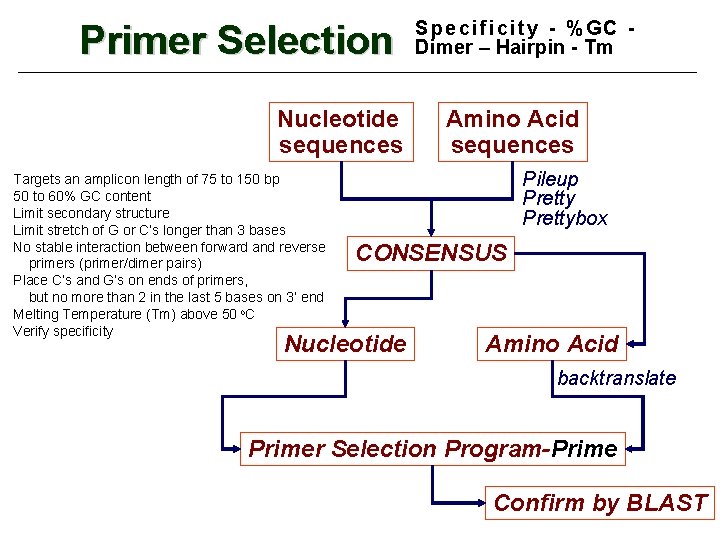 Primer Selection Nucleotide sequences Targets an amplicon length of 75 to 150 bp 50