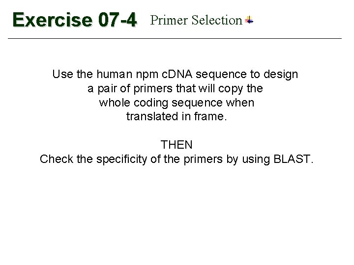 Exercise 07 -4 Primer Selection Use the human npm c. DNA sequence to design