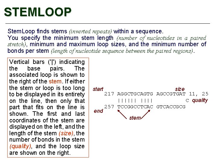 STEMLOOP Stem. Loop finds stems (inverted repeats) within a sequence. You specify the minimum