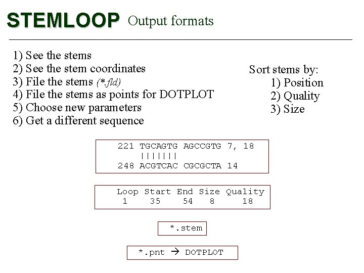 STEMLOOP Output formats 1) See the stems 2) See the stem coordinates 3) File