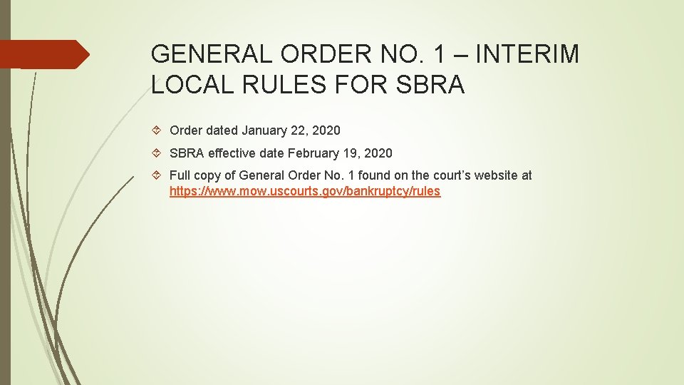 GENERAL ORDER NO. 1 – INTERIM LOCAL RULES FOR SBRA Order dated January 22,