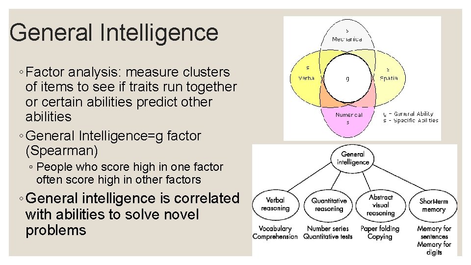 General Intelligence ◦ Factor analysis: measure clusters of items to see if traits run