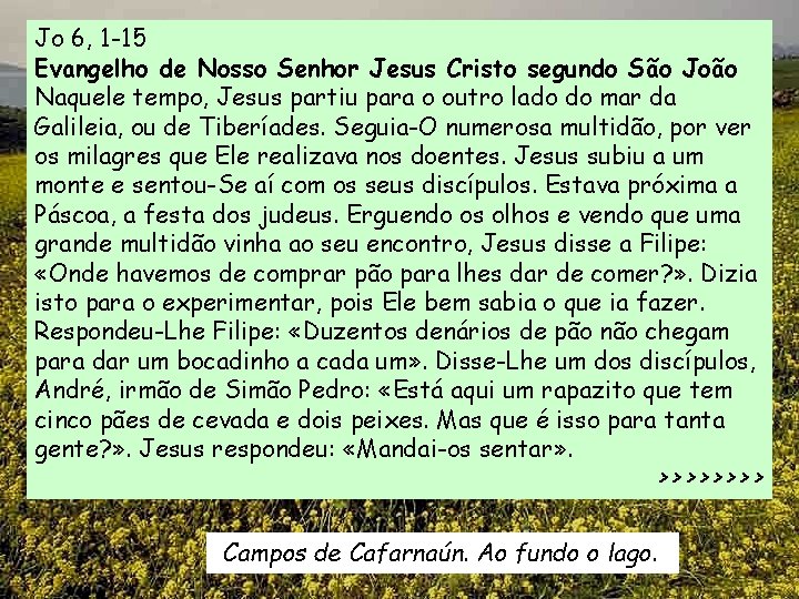 Jo 6, 1 -15 Evangelho de Nosso Senhor Jesus Cristo segundo São João Naquele