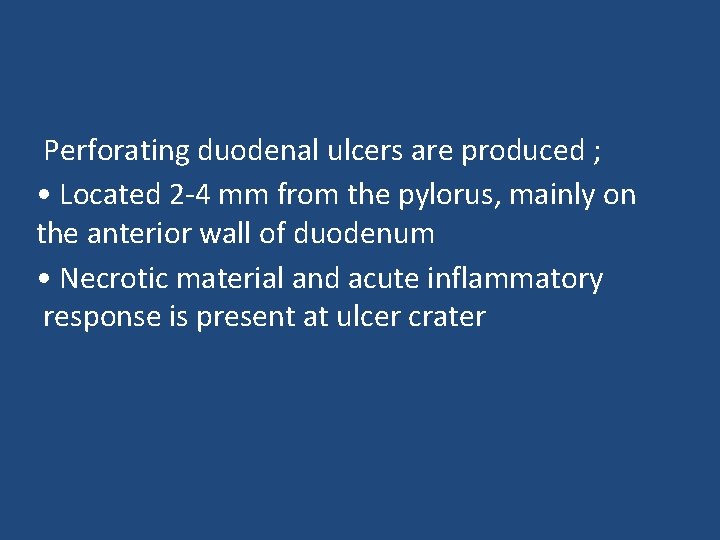 Perforating duodenal ulcers are produced ; • Located 2 -4 mm from the pylorus,