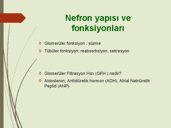 Nefron yapısı ve fonksiyonları Glomerüler fonksiyon : süzme Tübüler fonksiyon: reabsorbsiyon, sekresyon Glomerüler Filtrasyon