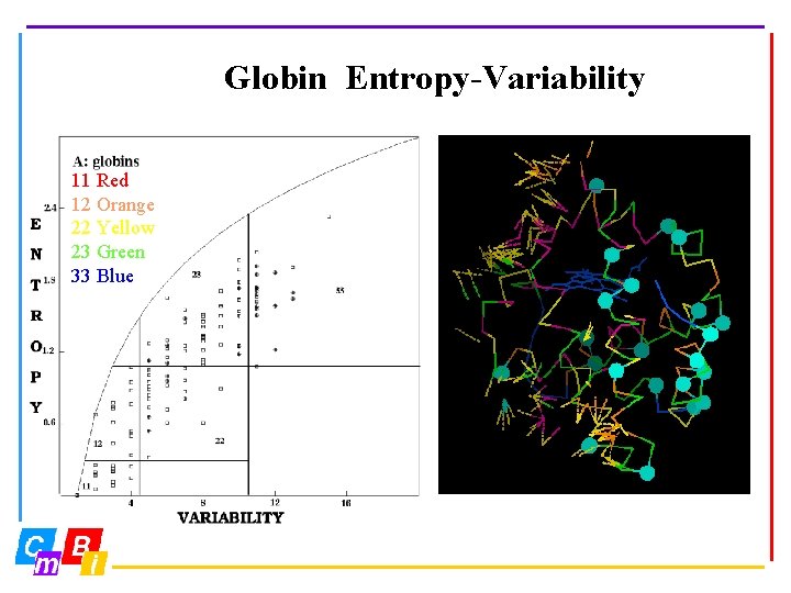 Globin Entropy-Variability 11 Red 12 Orange 22 Yellow 23 Green 33 Blue 
