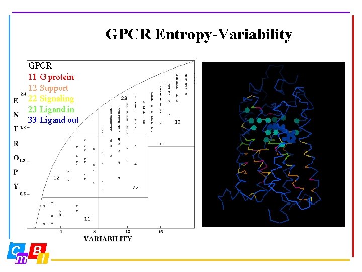 GPCR Entropy-Variability GPCR 11 G protein 12 Support 22 Signaling 23 Ligand in 33