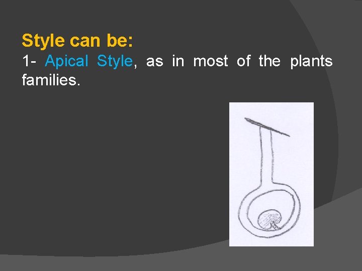Style can be: 1 - Apical Style, as in most of the plants families.