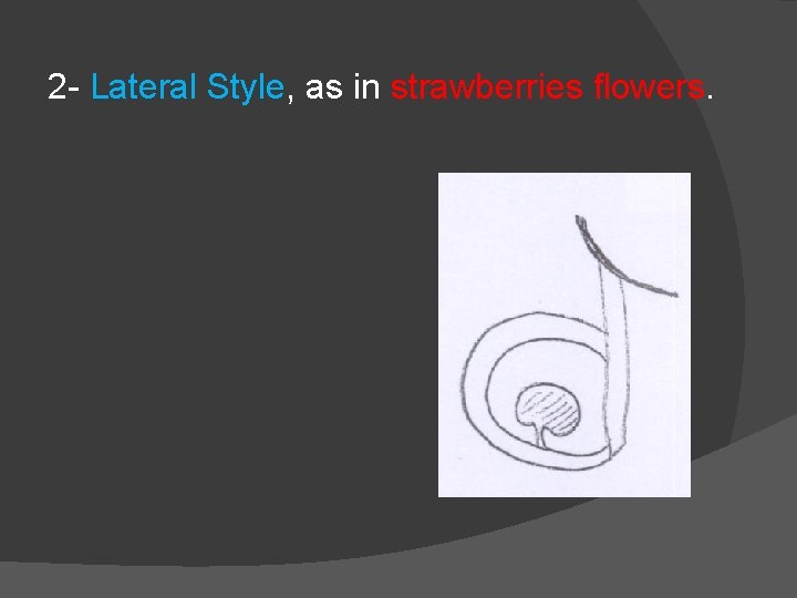 2 - Lateral Style, as in strawberries flowers. 