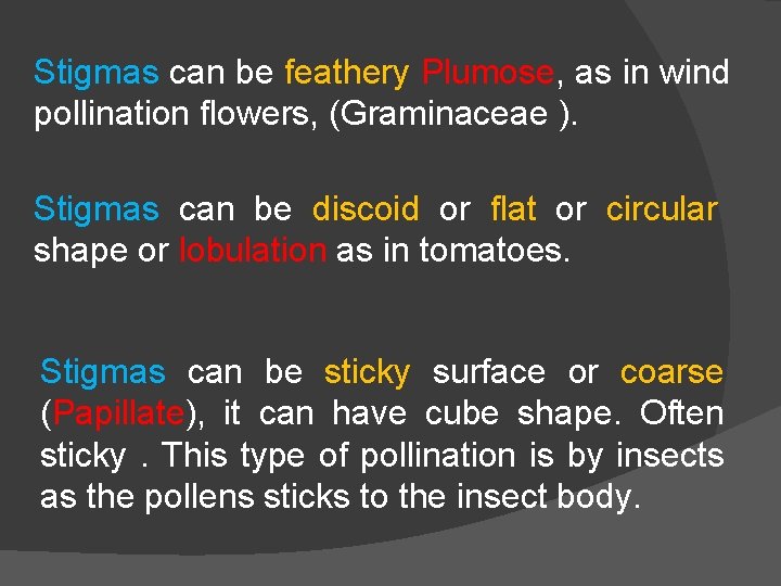 Stigmas can be feathery Plumose, as in wind pollination flowers, (Graminaceae ). Stigmas can
