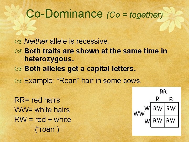 Co-Dominance (Co = together) Neither allele is recessive. Both traits are shown at the