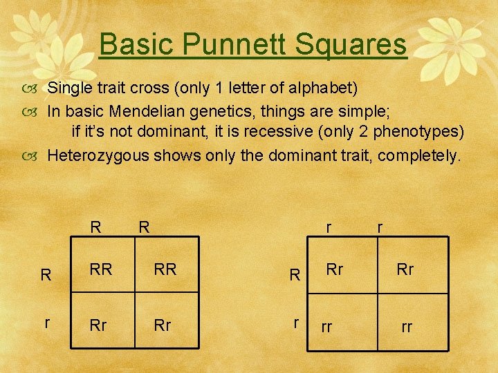 Basic Punnett Squares Single trait cross (only 1 letter of alphabet) In basic Mendelian